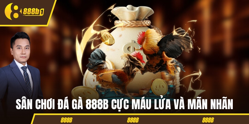 888b da ga Sân chơi đá gà 888B cực máu lửa và mãn nhãn