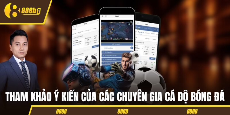 ca do bong da y kien chuyen gia Tham khảo ý kiến của các chuyên gia cá độ bóng đá