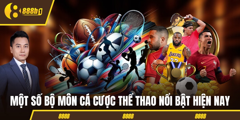 trang ca cuoc uy tin bo mon Một số bộ môn cá cược thể thao nổi bật hiện nay